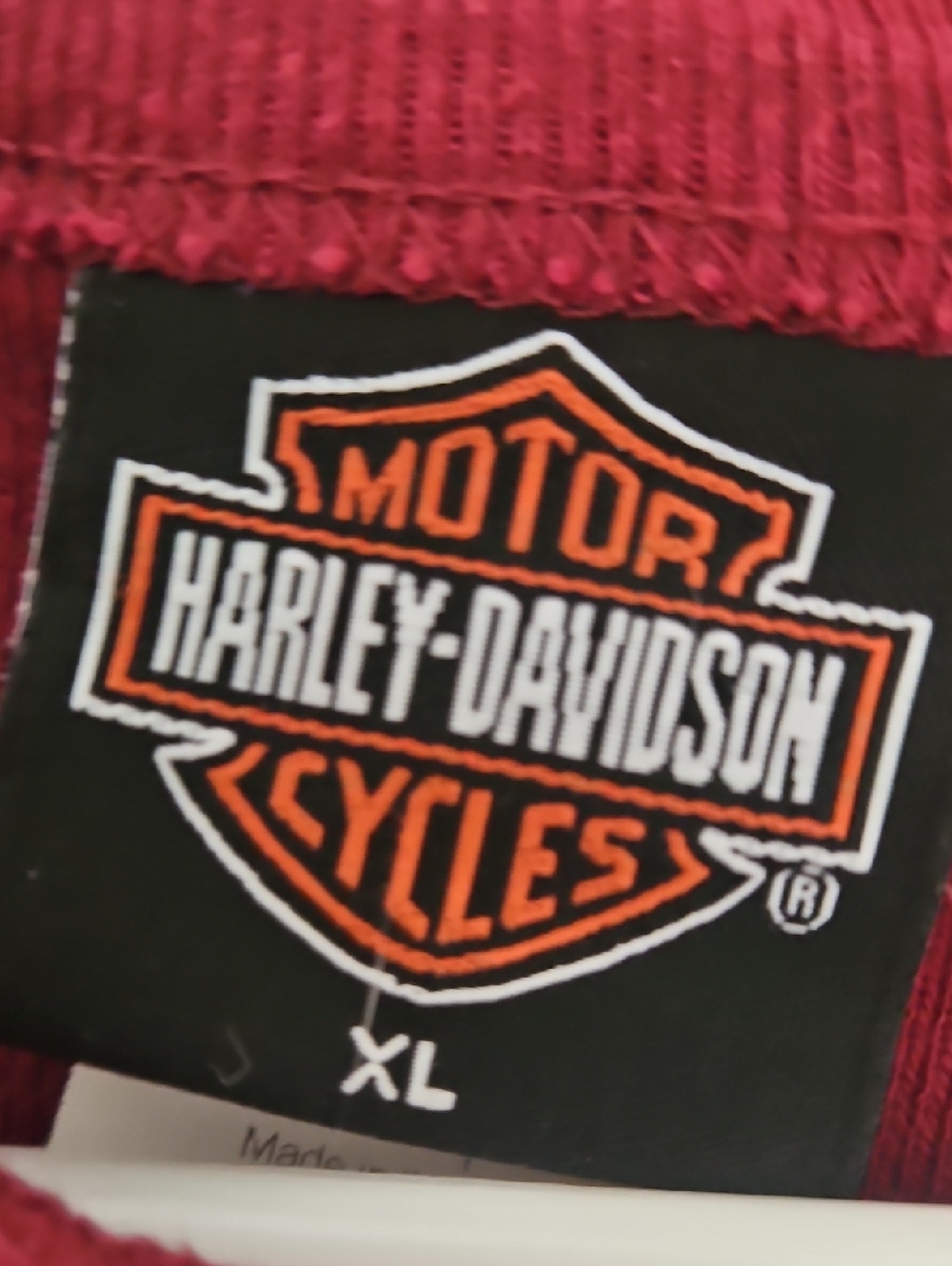 Harley Davidson Fans - Picture 2 of 4